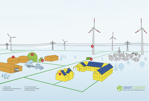 <p>
</p>

<p>
Intelligent vernetzt: Ökostromanlagen, BHKW, Verbraucher und Speicher. 
</p> - © Grafik: RWE

