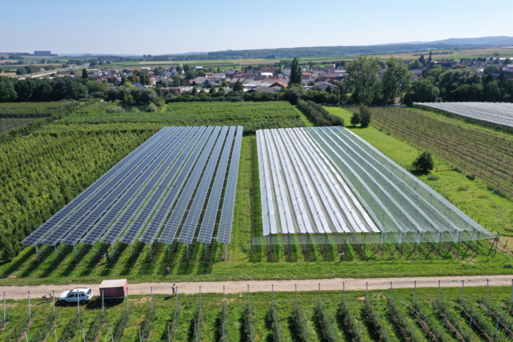 Mehr Solar und trotzdem eine Ernte: die erste Agri-PV-Anlage für Äpfel in Deutschland. - © Baywa r.e.

