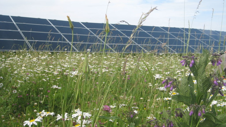 Bayern braucht auch künftig neue Solarparks für eine kostengünstige Stromversorgung. - © William Vorsatz
