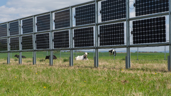 Mit dieser kleinen Demonstrationsanlage im saarländischen Losheim hat Next to Sun schon einmal gezeigt, dass das System funktioniert. Jetzt wird damit ein riesiger Solarpark gebaut. - © Next2Sun
