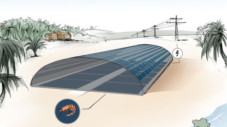 Die Skizze zeigt den geplanten geschlossenen Shrimp-Photovoltaik-Tunnel in Bac Lieu. - © Fraunhofer ISE
