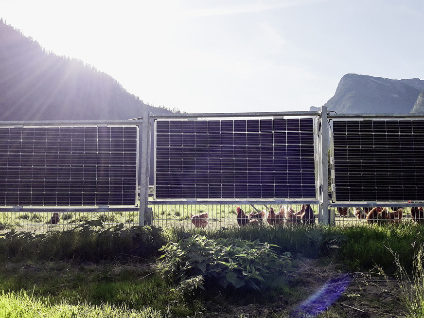 Die Doppelstabmatten zwischen Boden und Solarmodulen verhindern, dass die Hühner ausbüxen.