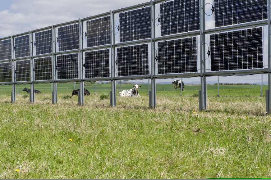 Mit neuen technologischen Ansätzen bleiben die Flächen der Landwirtschaft erhalten und die Agrarbranche kann sich mit der Photovoltaik versöhnen.