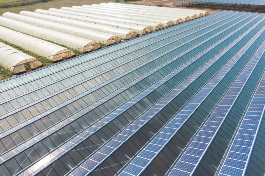 Solaranlagen auf Gewächshäuser produzieren grünen Strom, schützen die Pflanzen vor dem Wetter und optimieren die Arbeitsbedingungen.