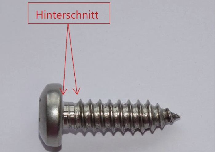 Die Schraube mit Hinterschnitt: Eine einfache, aber effektive Lösung von Ernst Schweizer, um die Montagesysteme blitzstromtragfähig zu machen.