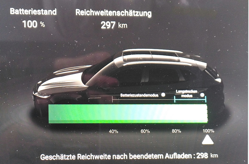 Anzeichen für Standby-Verluste? Morgens ist der Akku auch nach einer frostigen Nacht noch zu 100 Prozent geladen. Die Anzeige suggeriert aber, dass der Fahrer für einen weiteren Kilometer Strom nachladen kann.