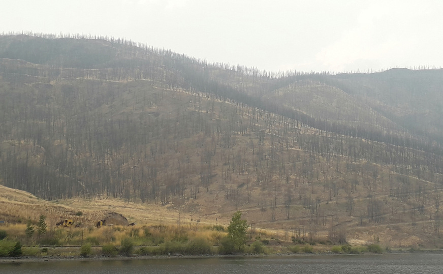 Hier fraß sich ein Feuer bis zum Salmon River vor.