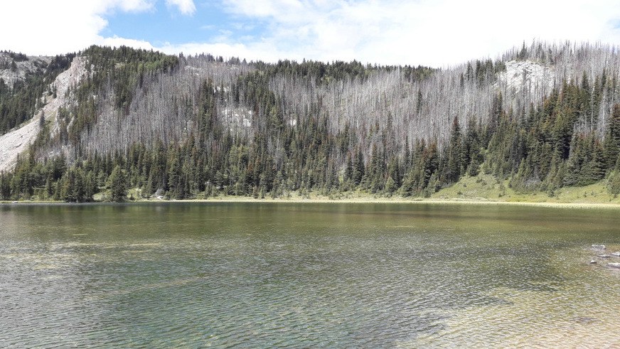 Dieser Berg im Banff Nationalpark ist von Bränden vergangener Jahre gezeichnet. Vermutlich werden sich die Baumbestände nicht mehr erholen.
