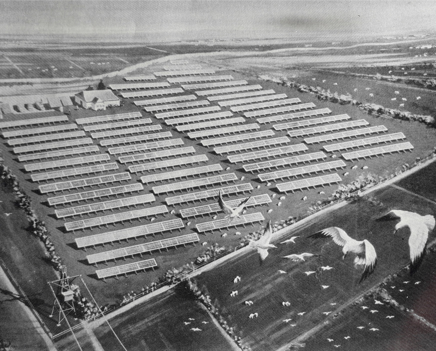 Pellworm im Jahr 1983: Diese Anlage leistet rund 300 Kilowatt und kostete elf Millionen Euro.