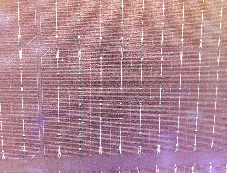 Futurasun bietet IBC-Module in verschiedenen Farben an.