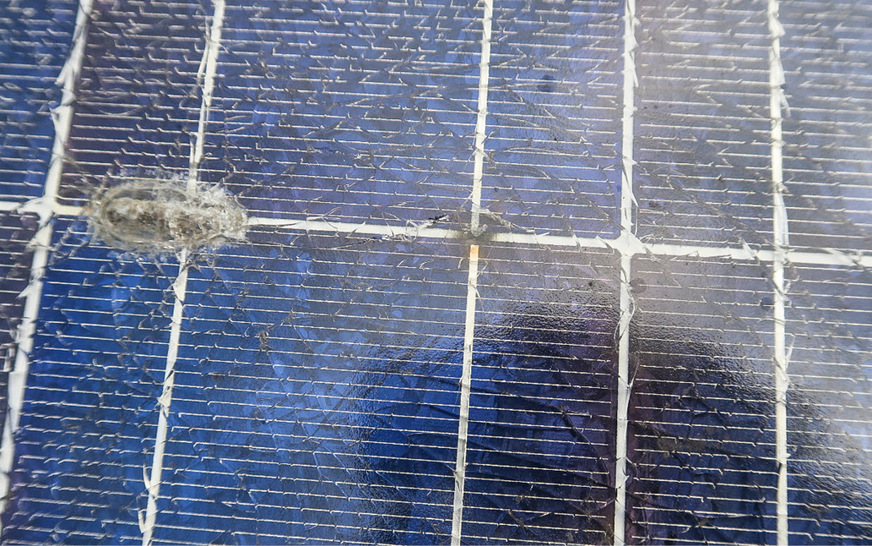 Diese Zellverbinder sind regelrecht zerstört.