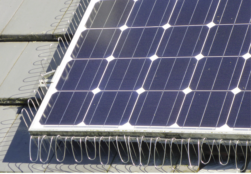 Der Schutz gegen Tauben sollte schon bei der Errichtung der Anlage eingeplant werden.