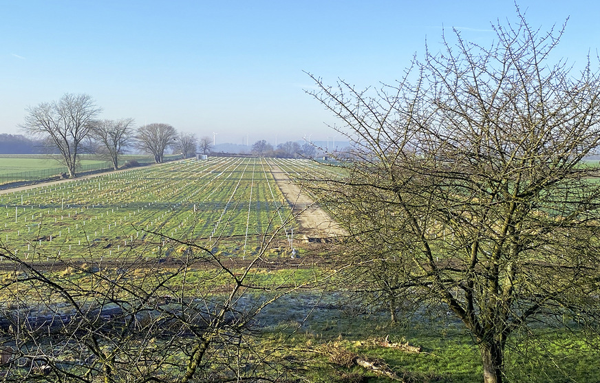 Restriktive Vorgaben lassen sich durch mehr Fördergelder nicht kompensieren.