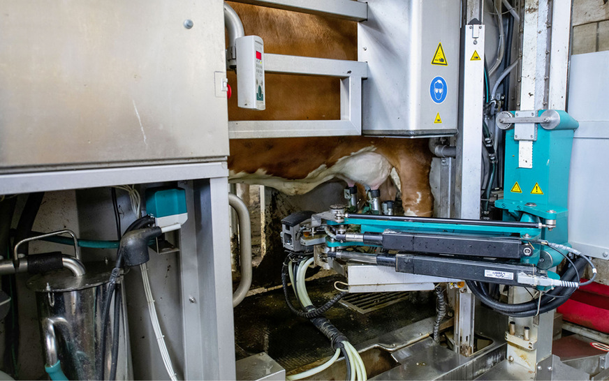 Mit dem Gewerbspeicher hat Alexander Kuhn nach Sonnenuntergang ausreichend Solarstrom, um den Melkroboter zu betreiben.