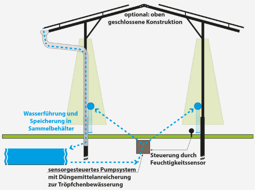 Die Agri-PV-Anlage unterstützt das Wassermanagement auf dem Acker.