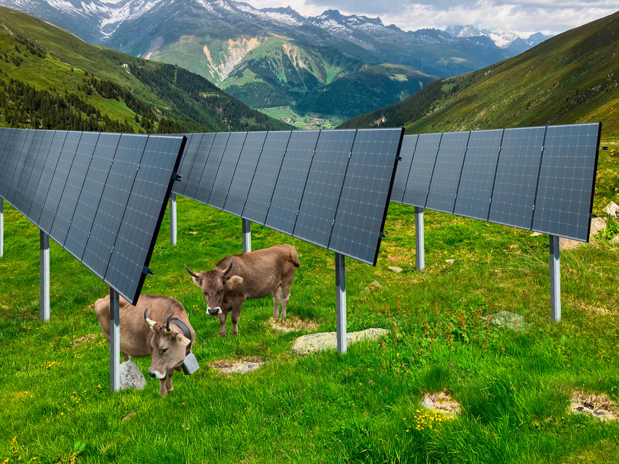 Die Solarpaneele sollen auf einer Stahlkonstruktion gut zwei Meter über dem Boden und mit einem Neigungswinkel von 75 Grad installiert werden.