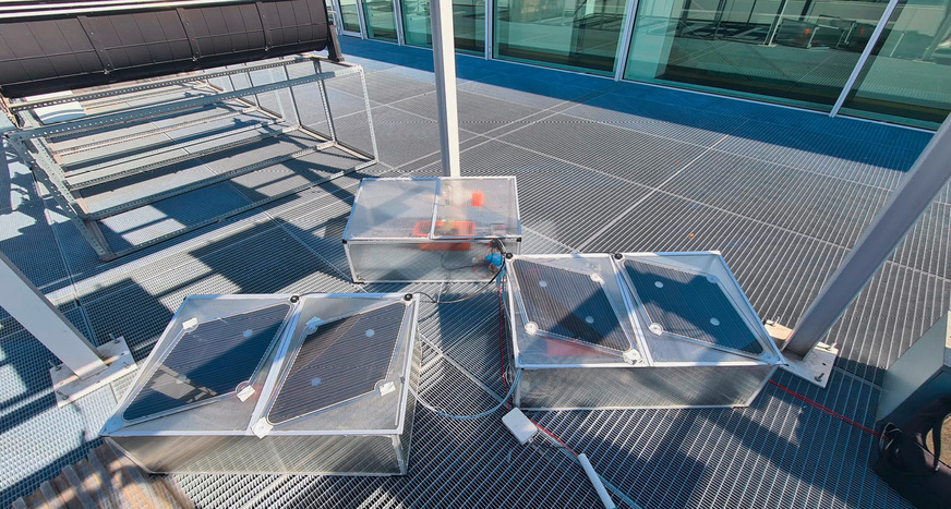 Die Gewächshäuser zur Bewertung der OPV.