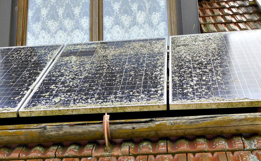 Hier sieht man auf den ersten Blick, dass die Anlage vernachlässigt wird.