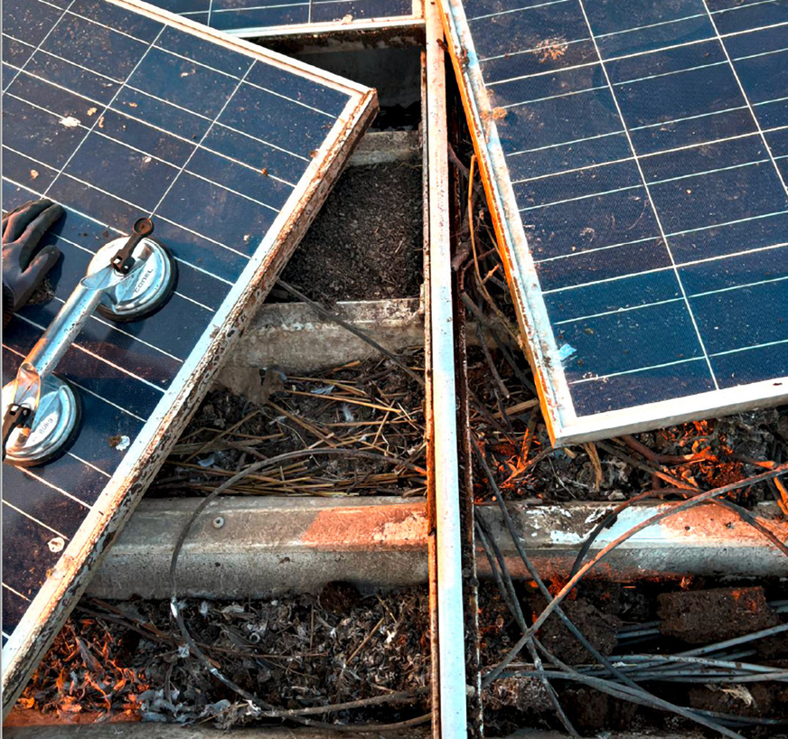 Hier führte Taubenbefall zu Schäden an der Anlage.