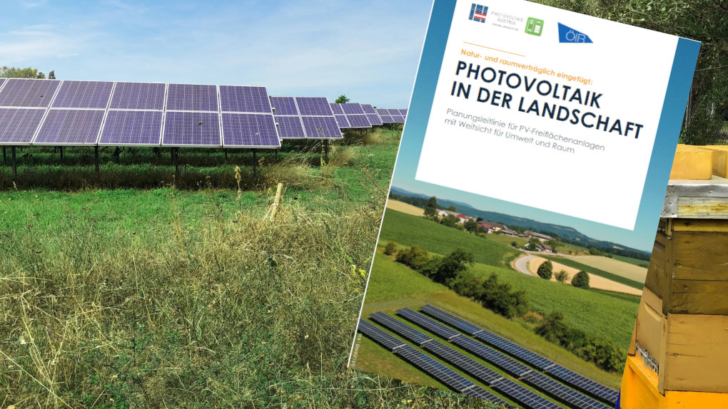 Planungsleitfaden für naturverträgliche Solarparks in Österreich erschienen