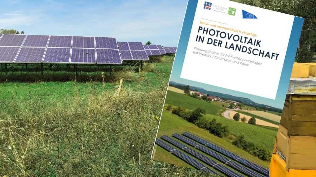 PV Austria stellt neue Planungshilfe für naturverträgliche Solarparks im Video vor