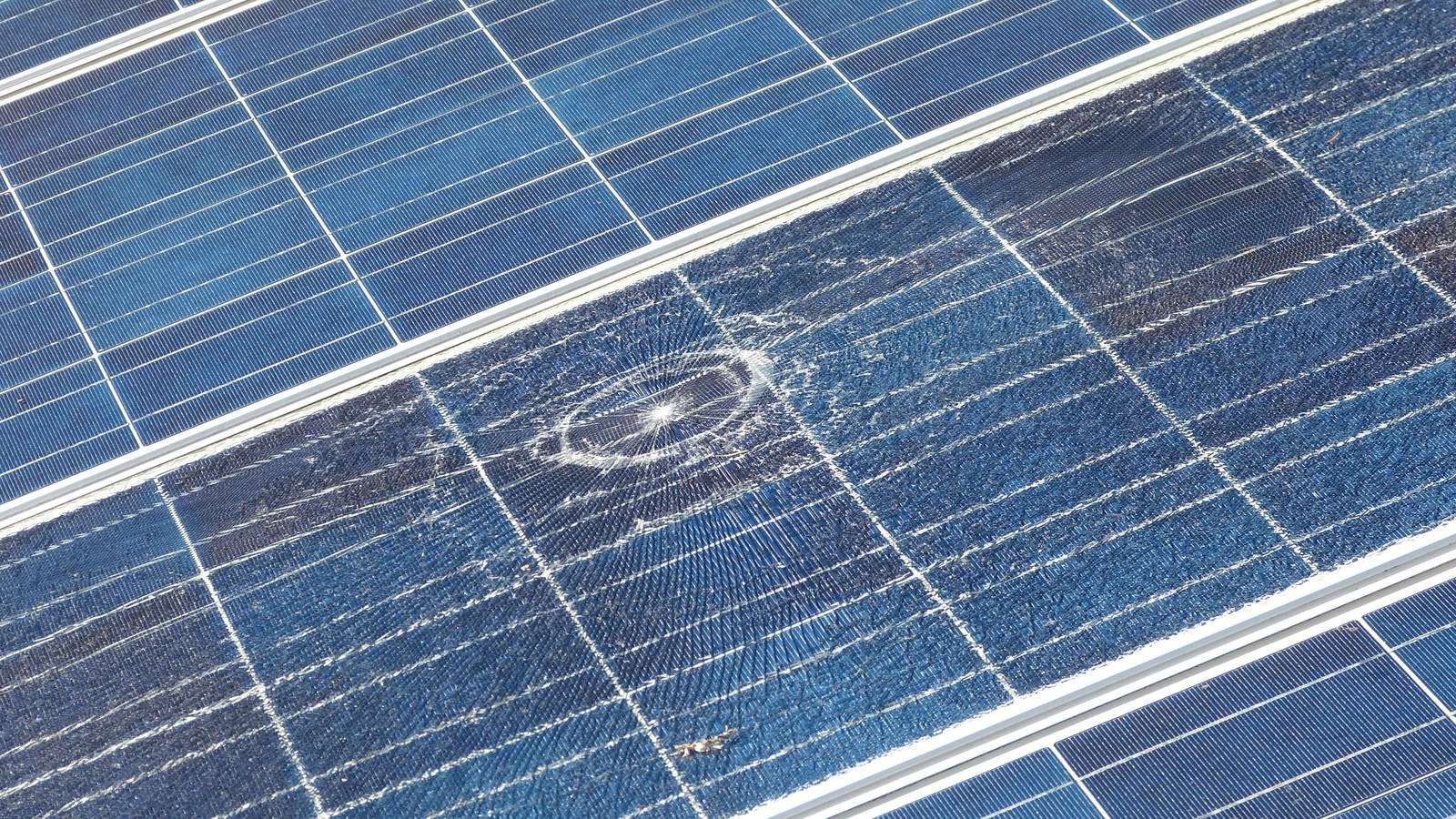 Gothaer setzt neue Photovoltaik-Versicherung ohne Prüfung auf