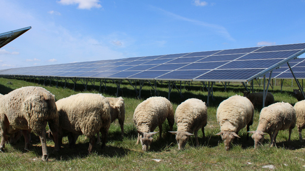 Baywa r.e. baut 136 Megawatt auf stillgelegtem Militärgelände in Frankreich