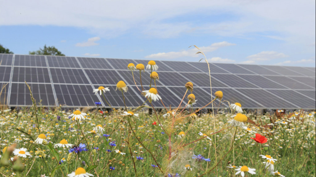 Aktuelle Studie: Agora Energiewende zeigt Wege zur Finanzierung der Energiewende