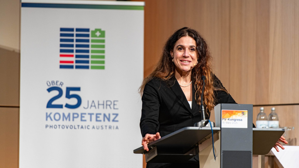 PV Austria: Ausbau der Erneuerbaren senkt Strompreise