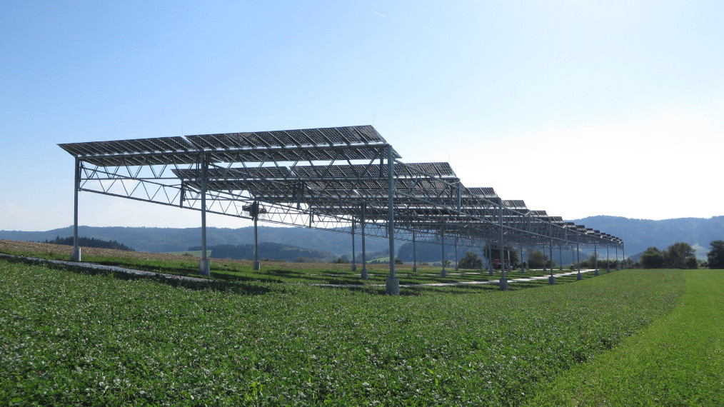 Metavolt entwickelt Ertragsrechner für Agri-PV-Projekte