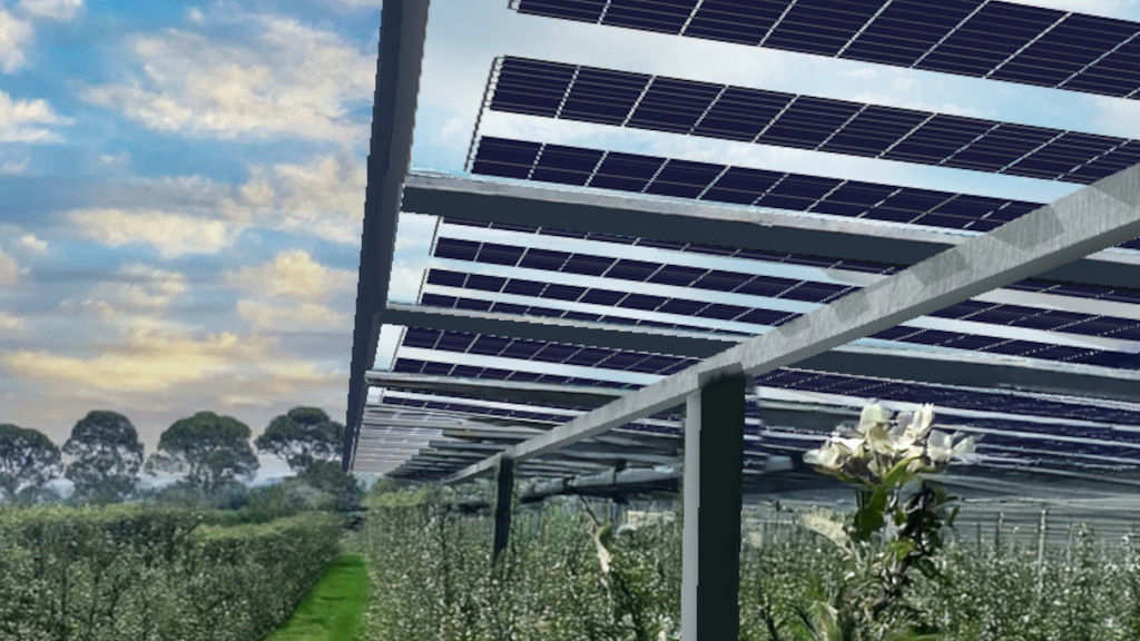 Gridparity entwickelt System mit Finanzierung für Agri-PV-Anlagen