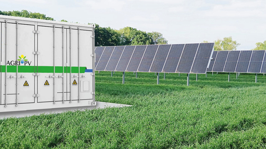 Gridparity: Agri-PV-Anlagen sind ohne Sondervergütung wirtschaftlich