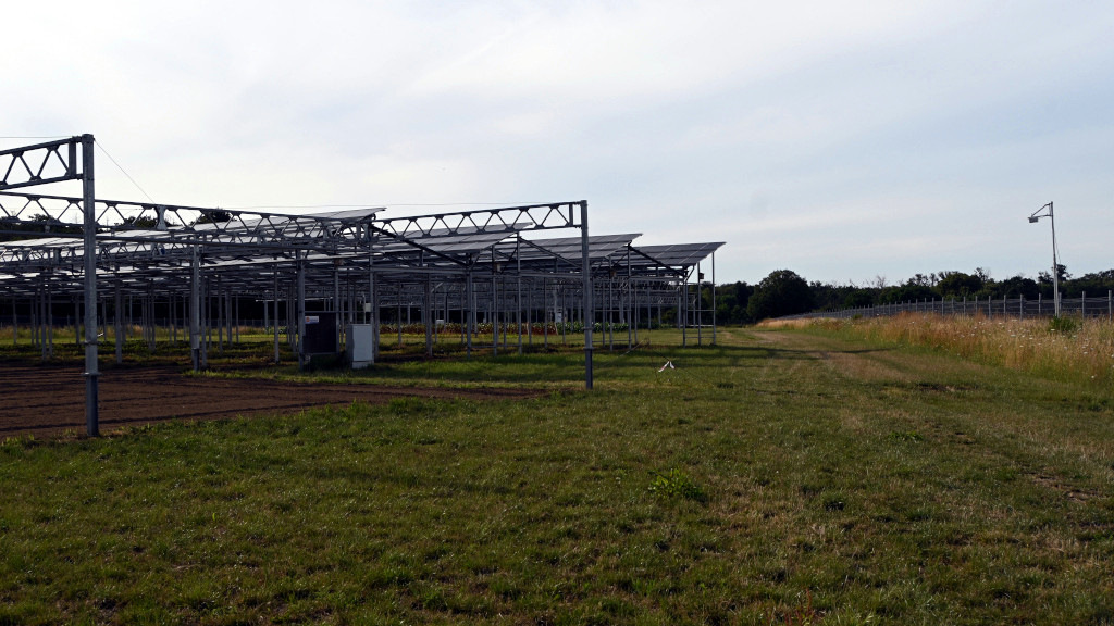 Metavolt: Umweltkartierung für Agri-PV-Projekte vor dem Bauantrag durchführen