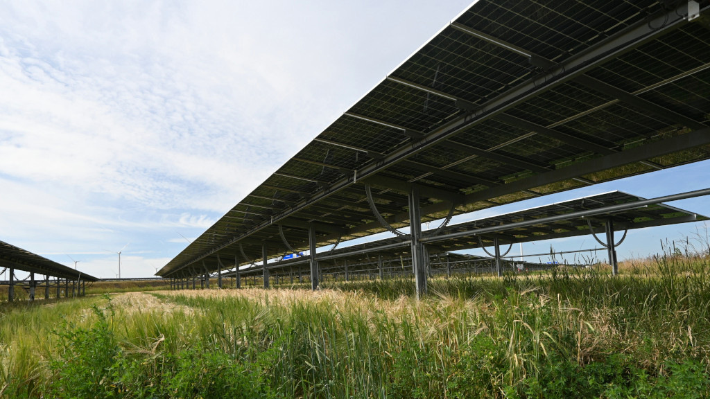 Goldbeck baut 48 Megawatt Agri-PV vor den Toren Berlins