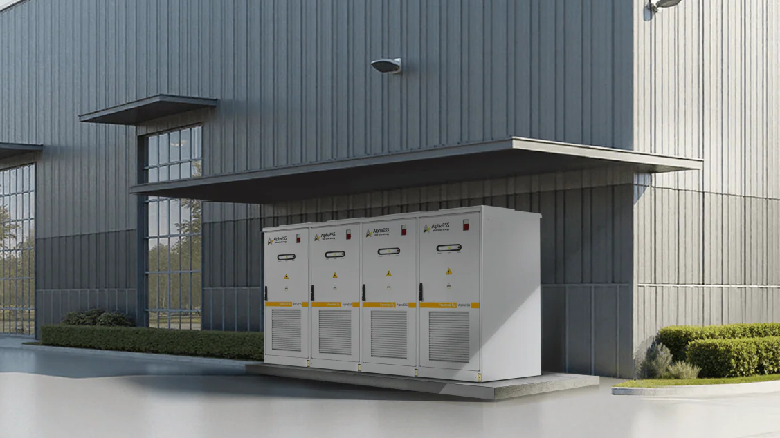 Unsere Produkte der Woche