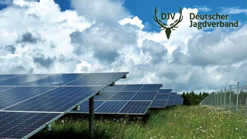 DJV veröffentlicht Leitfaden für wildtierfreundliche Solarparks