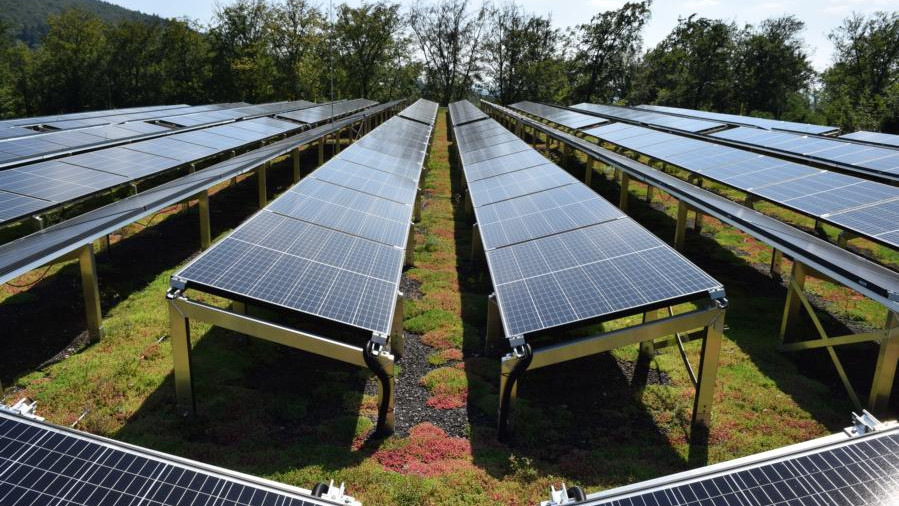 Kombination aus Gründach und Photovoltaik hat Vorteile – wenn es richtig gemacht wird