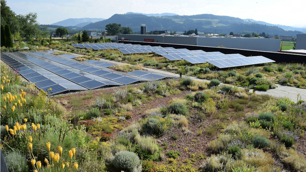 Fachkongress: Solares Gründach stößt auf großes Interesse