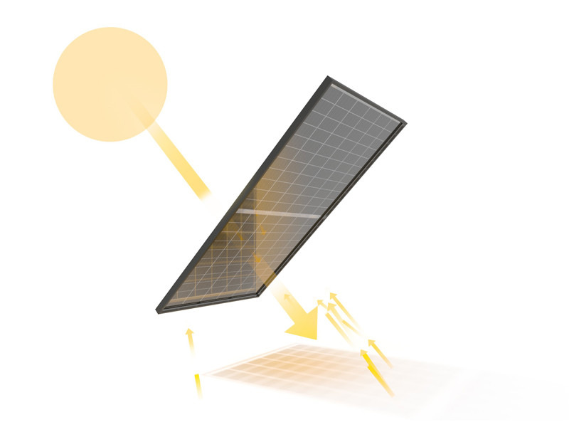 IBC Solar: bifaziale Module von Jolywood