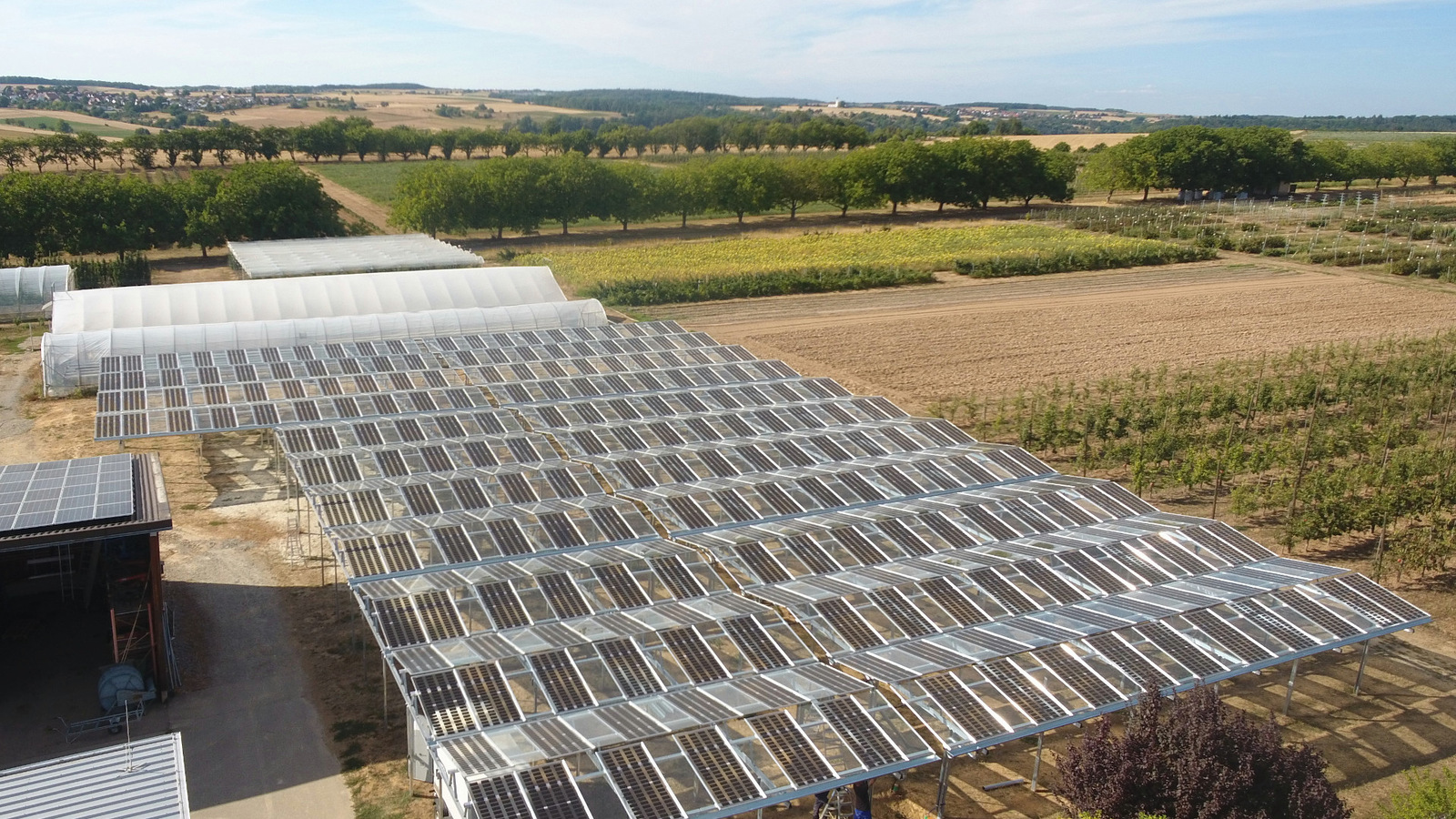 Baywa startet vier neue Pilotprojekte zur Agri-PV