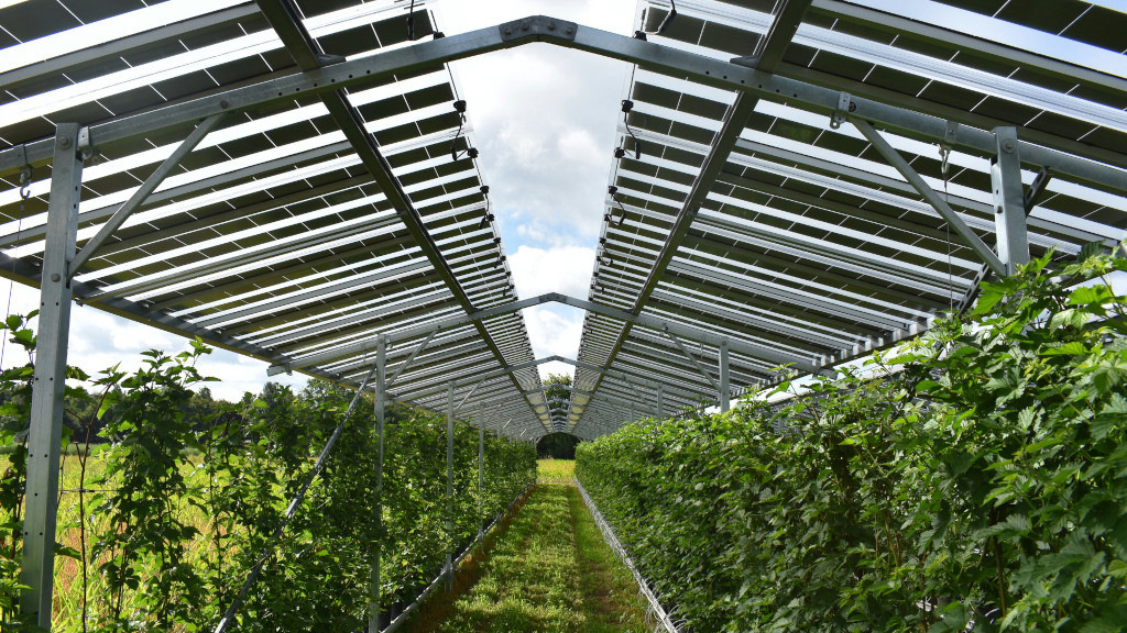 Baywa r.e. baut großes Fruitvoltaic-Projekt in den Niederlanden