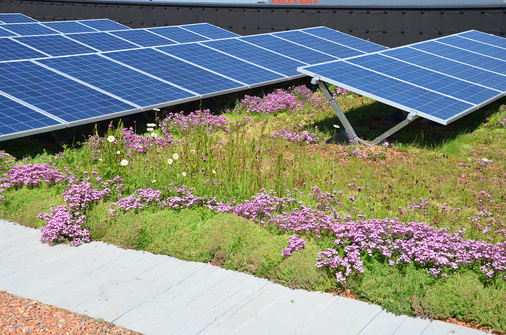 Die Gründach Unterkonstruktion für Photovoltaik-Systeme ist eine wirtschaftliche Lösung für die Kombination von Dachbegrünung und Photovoltaik. Immer mehr Bauherren möchten ihre Dachflächen zur Energiegewinnung nutzen. - © Paul Bauder GmbH & Co. KG