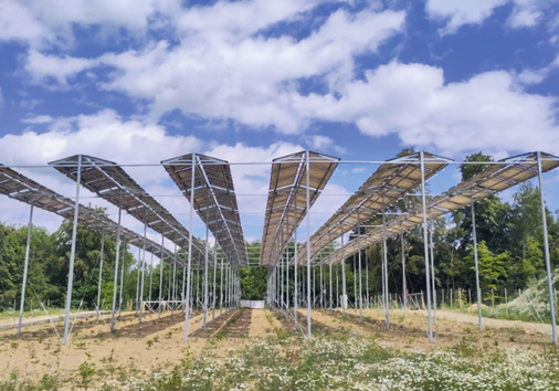 Der Solarstrom soll vorrangig vom Quarzsandwerk vor Ort genutzt werden.