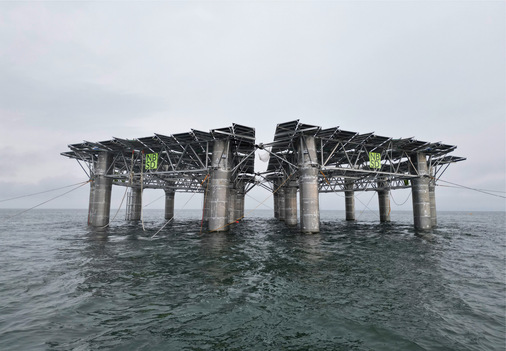 Solarernte zwölf Kilometer vor der niederländischen Küste.