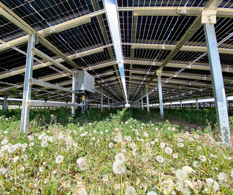 Unter den Modultischen entstanden Blühwiesen.