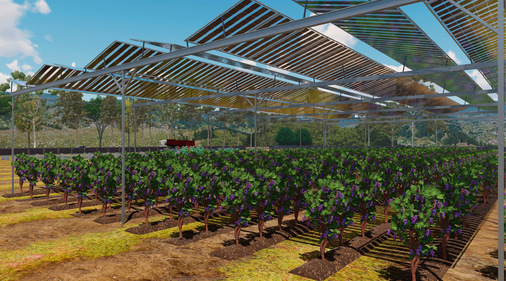 Die Solaranlage schützt die empfindlichen Trauben vor immer heftiger werdender Witterung. Auch Lösungen zum Schutz vor Spätfrost sind möglich.