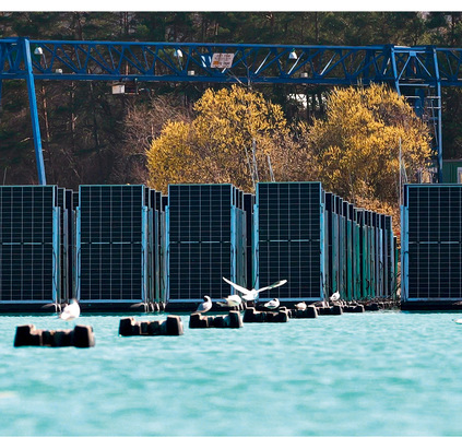 Wasservögel freuen sich über neue Nistmöglichkeiten.