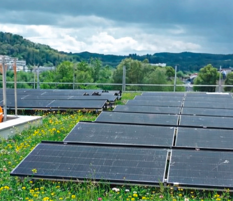 Wagner Solar hat bei der Entwicklung seines Gründachsystems auf ausreichend Wartungsgang geachtet.