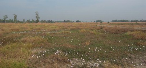 © Foto: Phoenix Solar AG