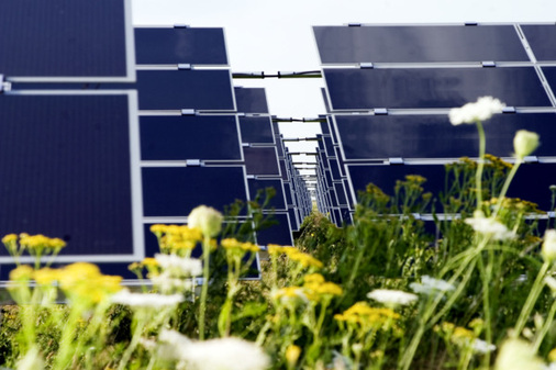 © Foto: www.solarpraxis.de/Tom Pischell